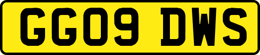 GG09DWS