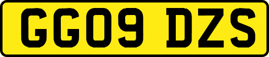 GG09DZS