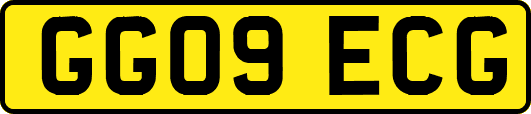 GG09ECG