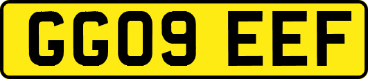 GG09EEF