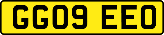 GG09EEO