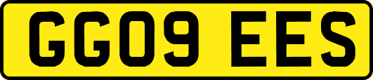 GG09EES