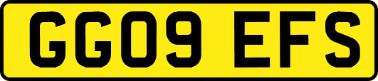 GG09EFS