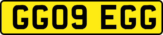 GG09EGG