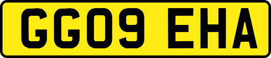 GG09EHA