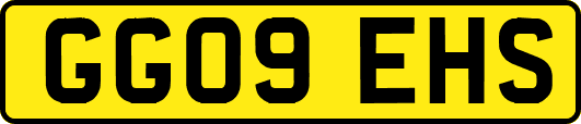 GG09EHS
