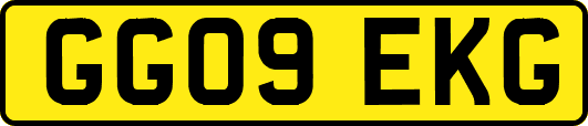 GG09EKG