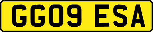 GG09ESA