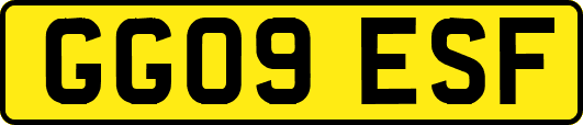 GG09ESF
