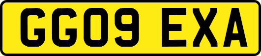 GG09EXA