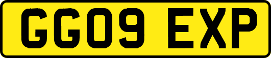GG09EXP