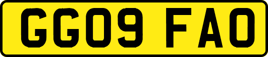 GG09FAO