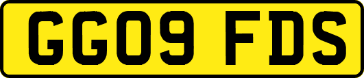 GG09FDS