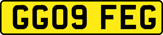 GG09FEG
