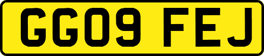 GG09FEJ