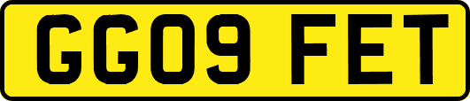 GG09FET