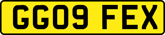 GG09FEX