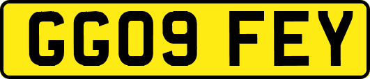 GG09FEY