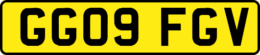 GG09FGV
