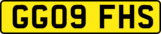 GG09FHS