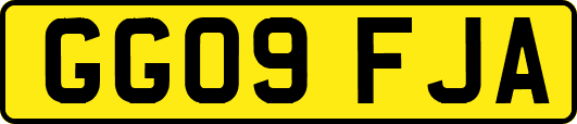 GG09FJA