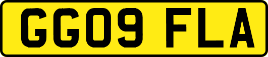 GG09FLA