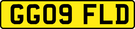 GG09FLD