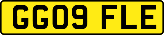 GG09FLE