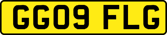 GG09FLG