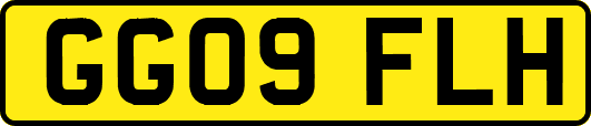 GG09FLH