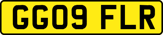 GG09FLR