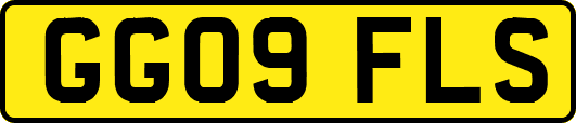 GG09FLS