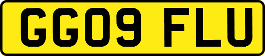 GG09FLU