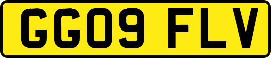 GG09FLV