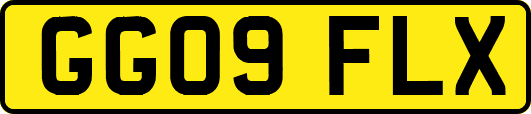 GG09FLX