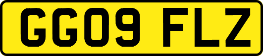 GG09FLZ