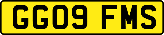 GG09FMS