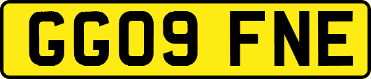 GG09FNE