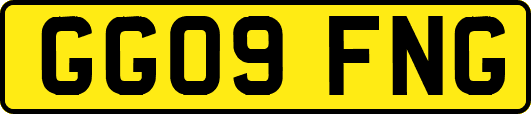 GG09FNG