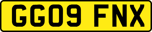 GG09FNX