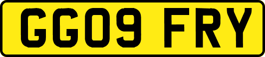 GG09FRY