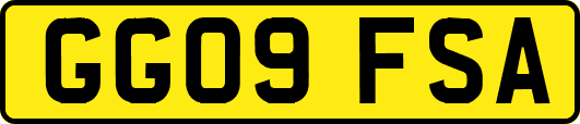 GG09FSA