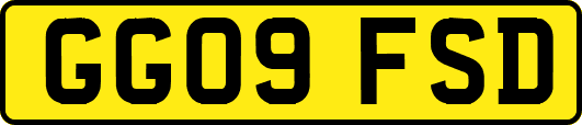 GG09FSD
