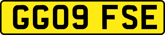 GG09FSE