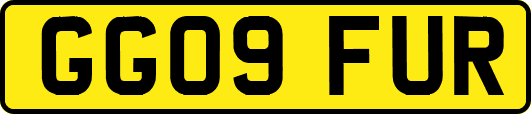 GG09FUR