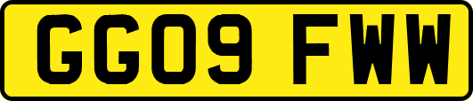 GG09FWW