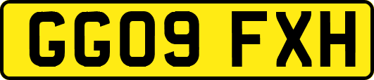 GG09FXH