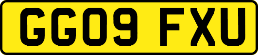 GG09FXU