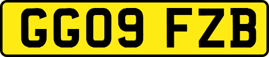 GG09FZB