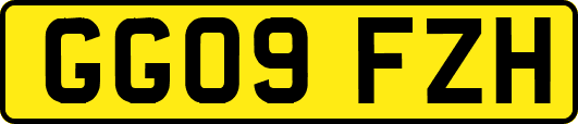 GG09FZH